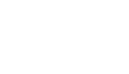 Shakie Jake's, Arctane Digital client